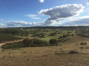 IMG_0710_Easy-Resize.com